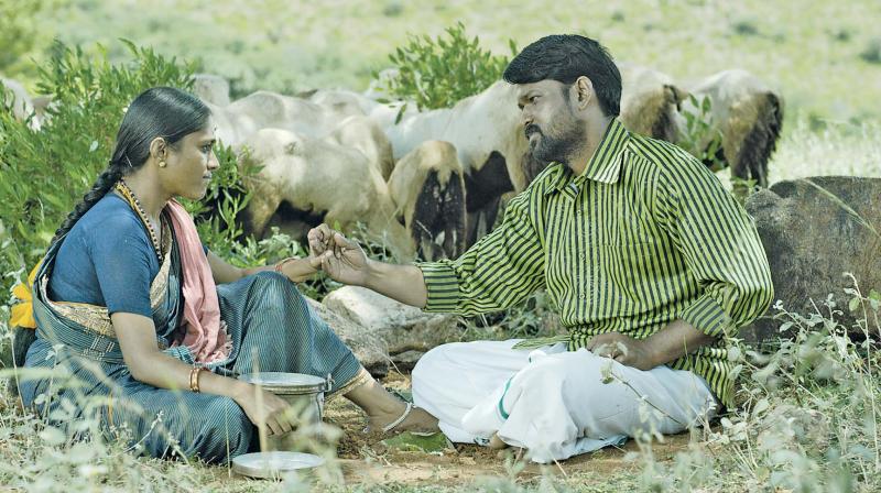 Film on shepherds ready for release