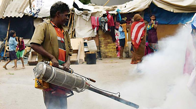 Monsoon rains dengue cases on hapless Bengaluru