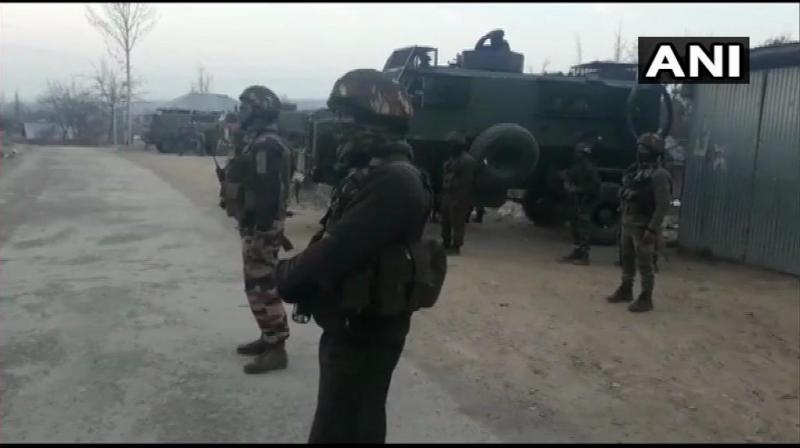 The three terrorists who were neutralised today during an encounter here have been identified as Hizb-ul-Mujahideen and Lashkar-e-Taiba affiliates, Jammu and Kashmir Police said. (Photo: File)