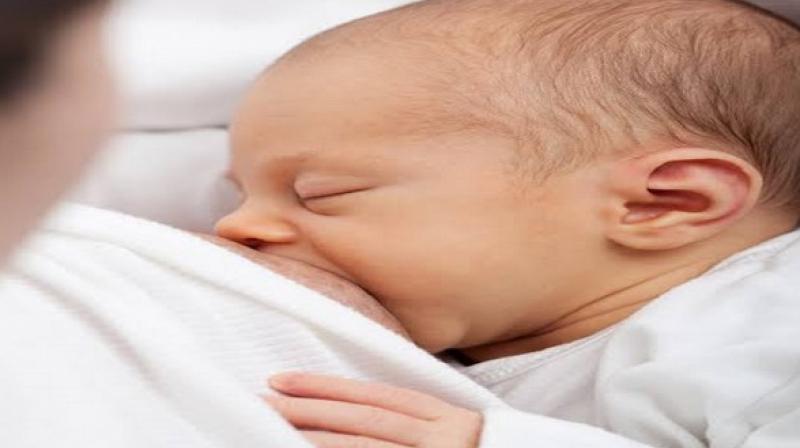 Breast milk allows beneficial bacteria to thrive