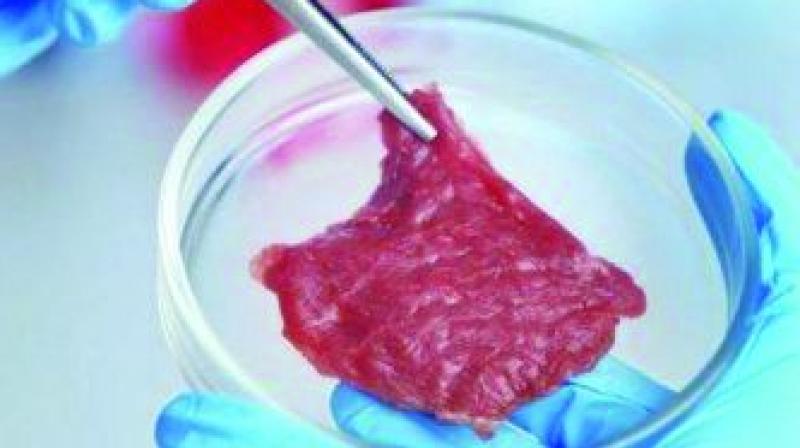 60 per cent meat in 2040 may come from lab process