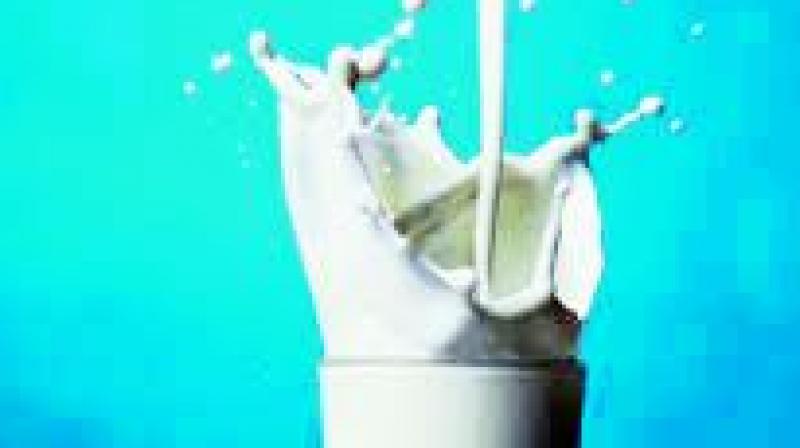 Khammam, Bhadradriâ€™s thirst for milk continues