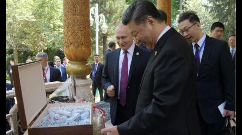 Putin celebrates close friend China prez Xiâ€™s 66th birthday, gifts ice cream