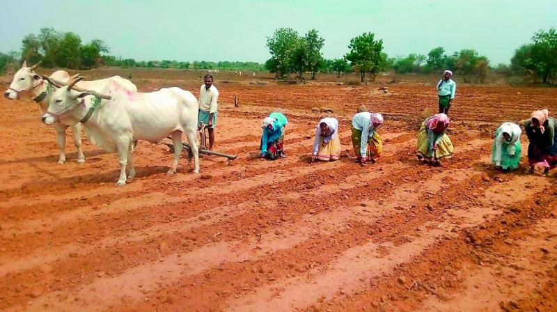 Khammam: Dry spell forcing farmers to quit farming