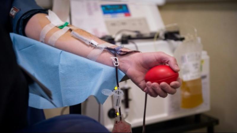 Gay rights activists complain to EU over ban on blood donation in French