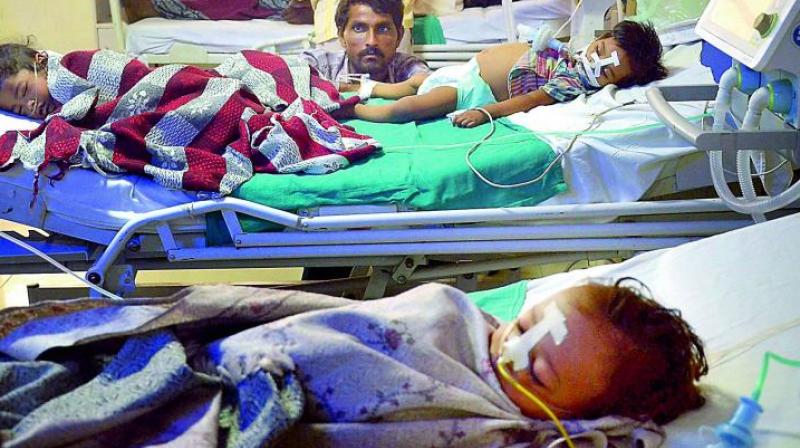 Encephalitis toll rises to 134 in Muzaffarpur