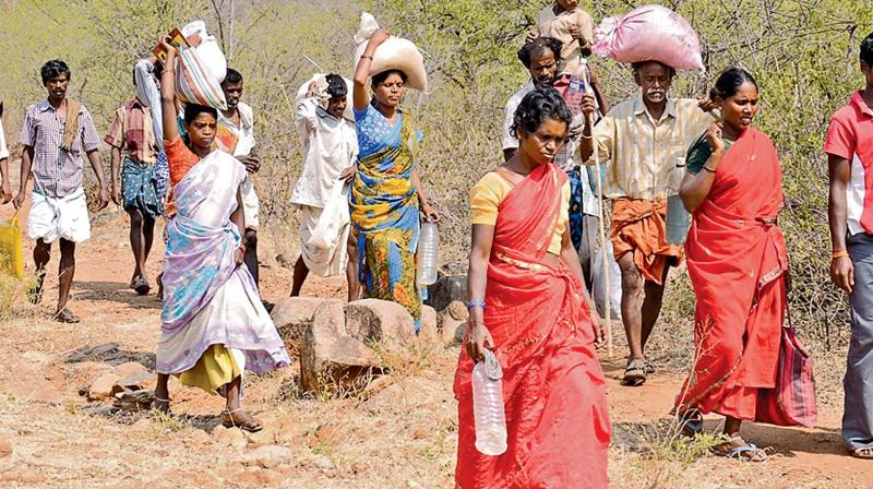 Erode: Hill hamlet dwellers travel 100 km to buy rations