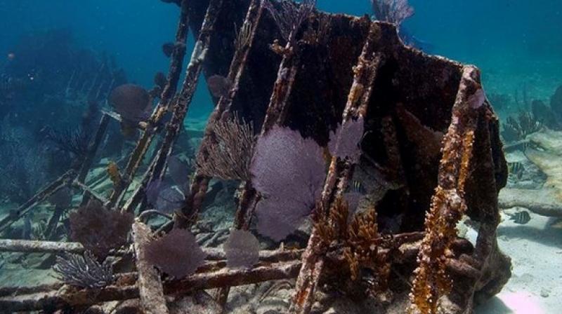 Calling it discovery of the decade, Jorge Freire, projects science director, said that from a conservation perspective, both of the assets as of the ship itself, this discovery is of great patrimonial value. (Photo: ANI)