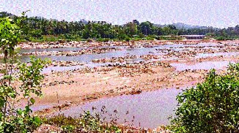 Water scarcity brings Dakshina Kannada, Udupi to their knees