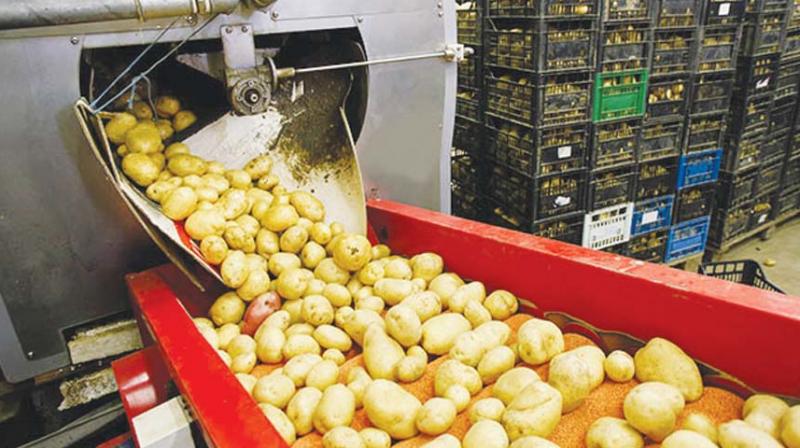 Food processing can help farmers