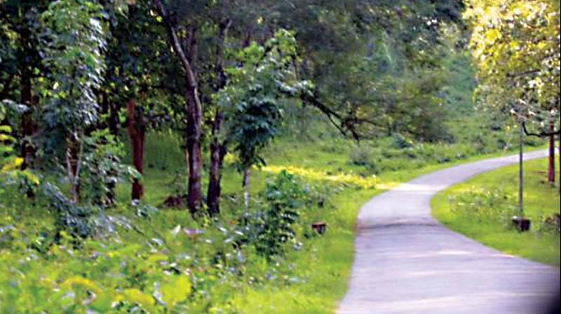 Bengaluru: Environmentalists slam Forest Act amendment