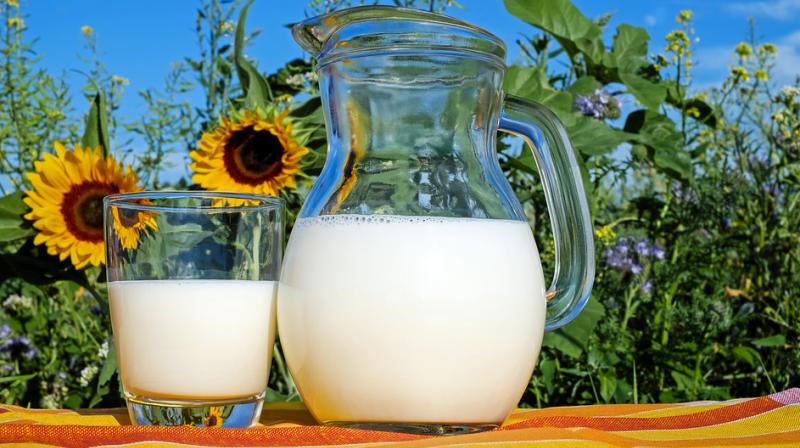 Milk consumption can prevent chronic diseases