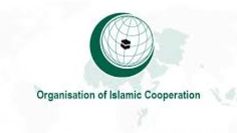 OIC mentions â€˜Kâ€™ word in Mecca, gets slammed