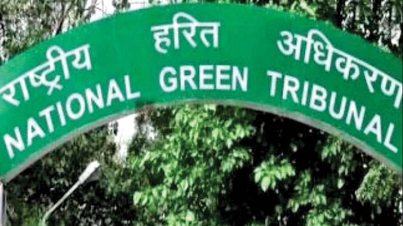 Polavaram site inspected following NGT directives