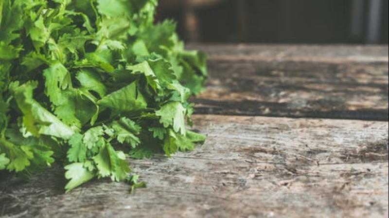 How to keep your herbs fresh and alive