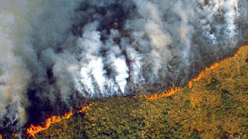 The Amazon rainforest fires have disrupted the ecological system of the area. (Photo: Instagram)