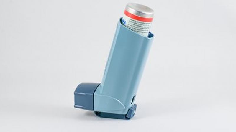 Asthma can be triggered by allergies