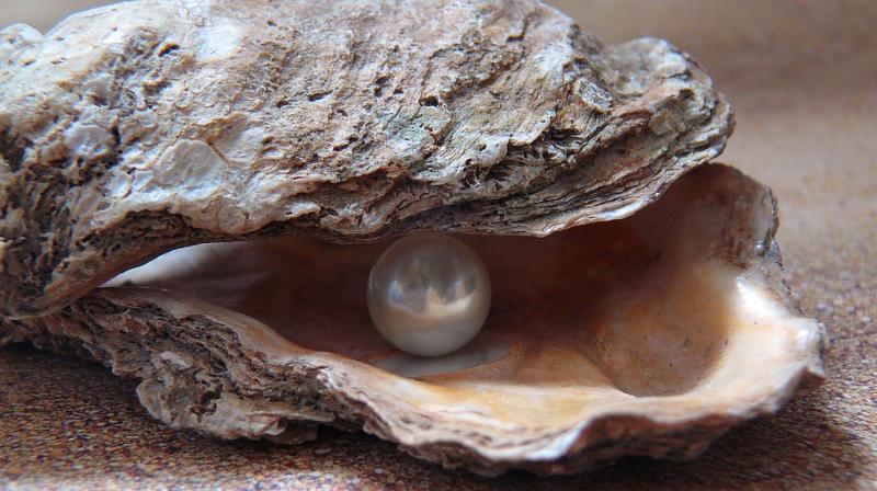 Japanese pearl culture still holds sheen