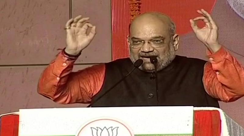 Amit Shah said if Naidu had worked this hard in the elections, TDP could have performed better. (Photo: ANI twitter)