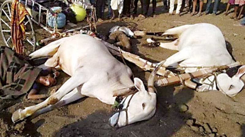 Hubballi: Family of four in a bullock cart electrocuted