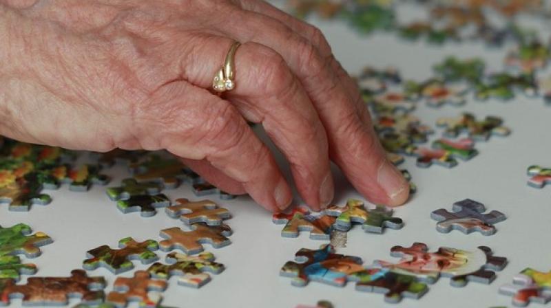 Puzzles improve brain function
