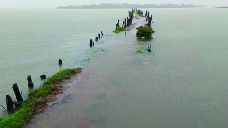 Marooned: Fields submerged due to incessant rains at Vajrapakotturu in Srikakulam district on Tuesday.