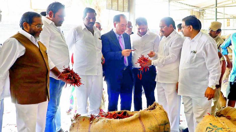 Guntur Agriculture Market yard Chairman M. Subba Rao shows Guntur Tej Mirchi yield to Myung Tae Kim, Consulate General of Republic of South Korea during his visit to Agriculture Market Yard in Guntur city on Friday.