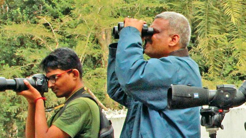 K. Arivoli, district forest officer, Thiruvarur observing the birds. (Photo: DC)