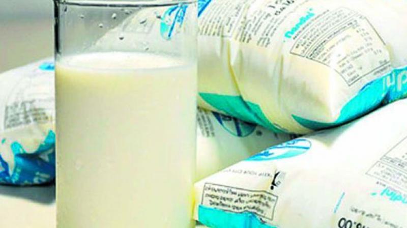 The police seized 600 litres of adulterated milk, 2.5 kg of milk powder, detergent, washing powder packet, one Oxytocin bottle. (Representational Image)