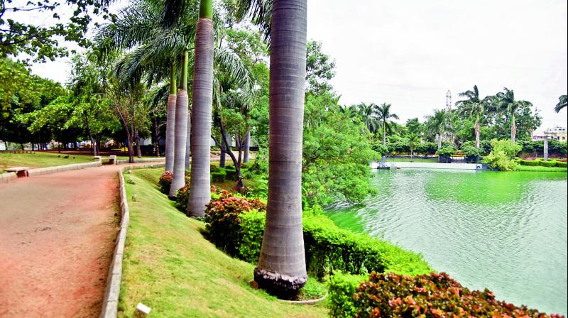 Lake view park opposite Prasads Imax after the facelift.  (Image: DC)