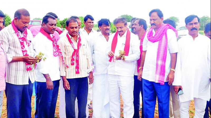 CPI state secretary K. Ramakrishna visits groundnut crop farmers at Rapthadu in Anantapur district on Tuesday. (Photo: DC)