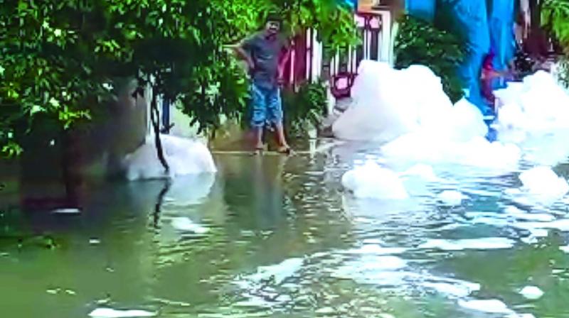 Hyderabad: Dharani Lake foaming once again
