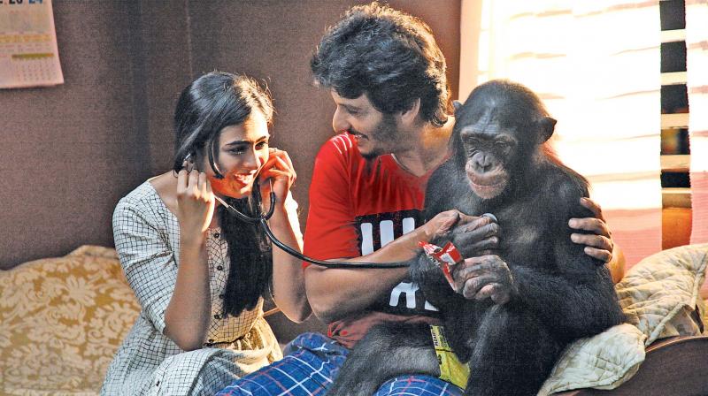 I never dreamt of doing a film like Gorilla: Jiiva