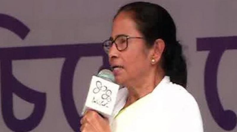 \What is all this nonsense being spread\: Mamata Banerjee on her bipoic