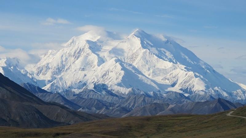 Woman dies trying to reach into the wild bus in Alaska