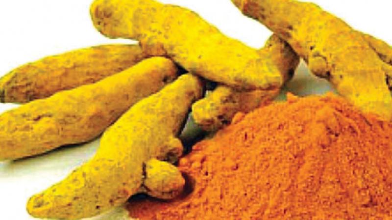 According officials, with this facility, farmers and traders from Andhiyur, Sathyamangalam, Chamrajnagar, Erode, Modukuruchi and Shaivagiri along with Tirupur and Karur districts will get to know about the curcumin content in their crop which is expected to open new markets including international ones for them