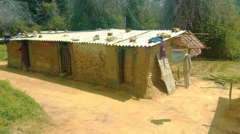 Mud huts of Irula tribes. 	      Image: DC