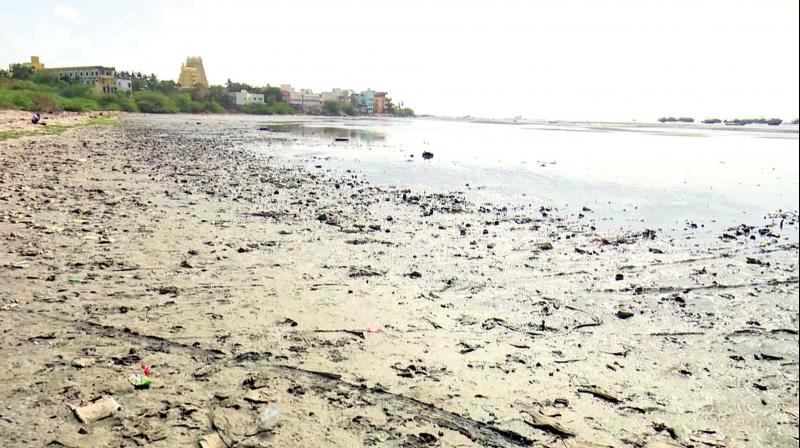 Sea recedes by 400m in Rameswaram