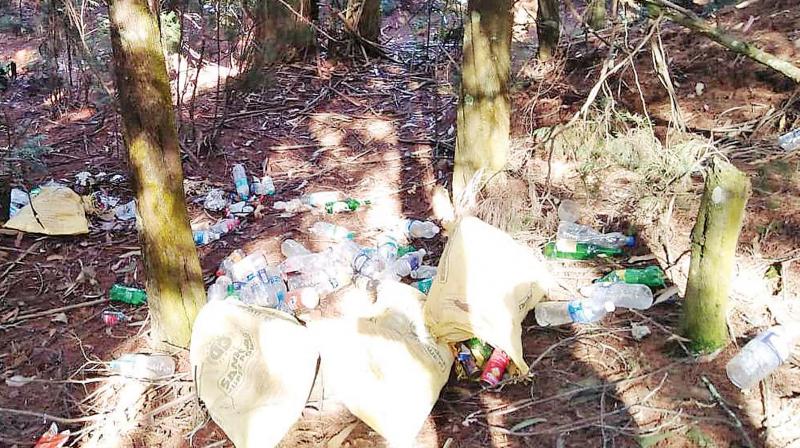 Ooty: Wooded zone now a dump yard
