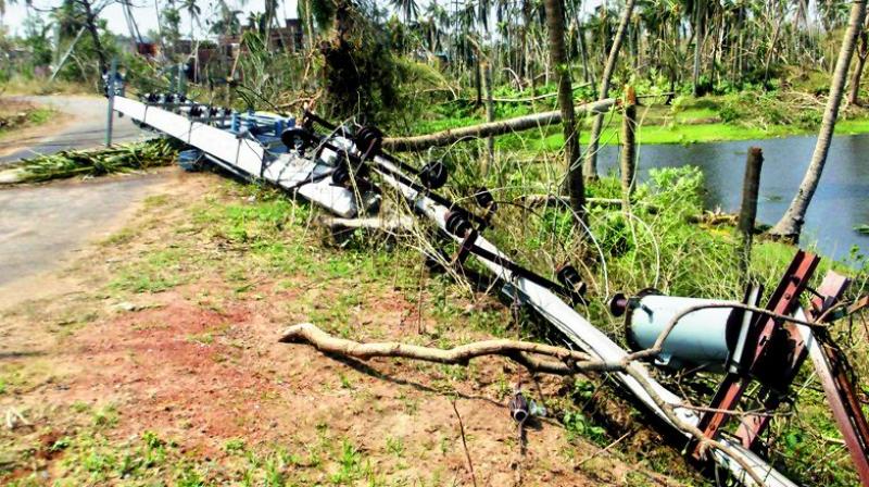 Crippling blow for farmers in Odisha
