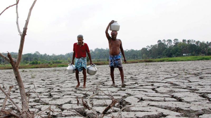 Kozhikode: Drought mitigation team formed