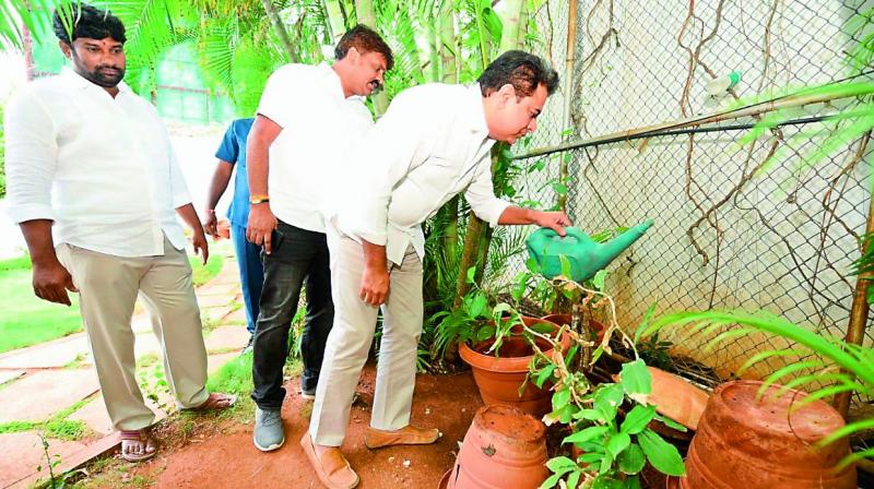 Help fight fever, says KT Rama Rao