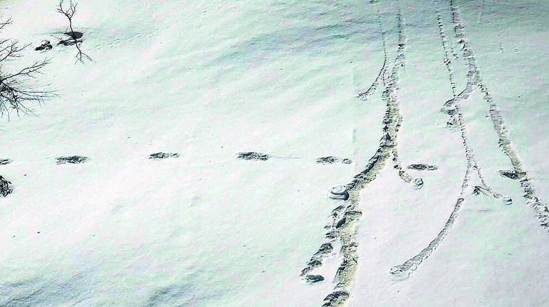 Indian Army team spots Yeti footprints