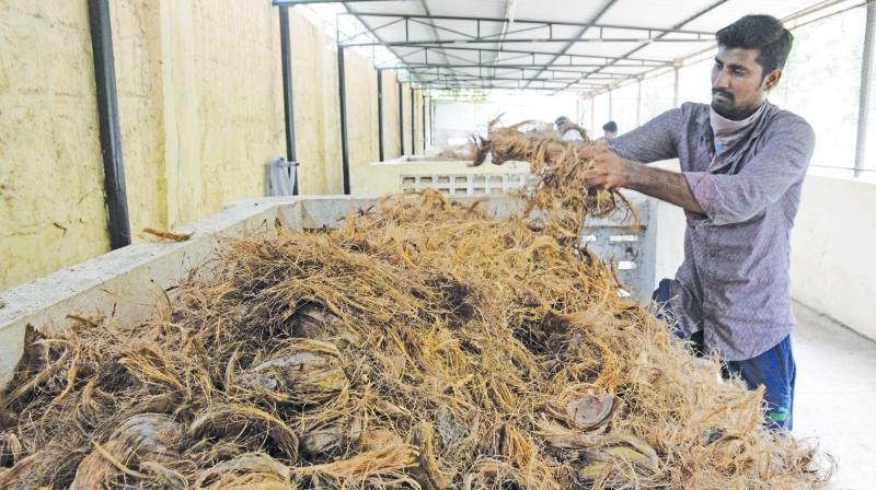 Coconut shells reused in Madhavaram and Adyar zones