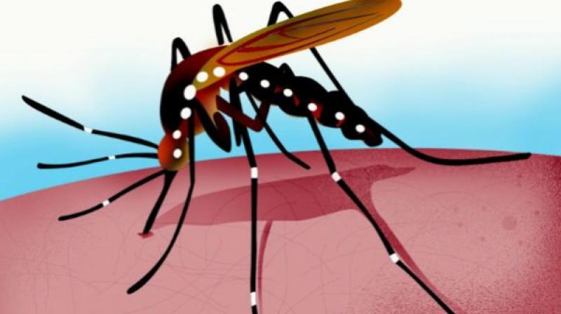 Syed Khaleel Ahmed, a businessman and a resident of Nadeem colony said that during the evening, the problem was acute with swarms of mosquitoes descending on houses and attacking people. (Representional Image)