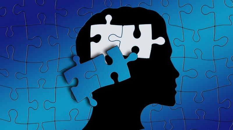 This protein sheds new light on autism and other brain disorders. (Photo: Pixabay)