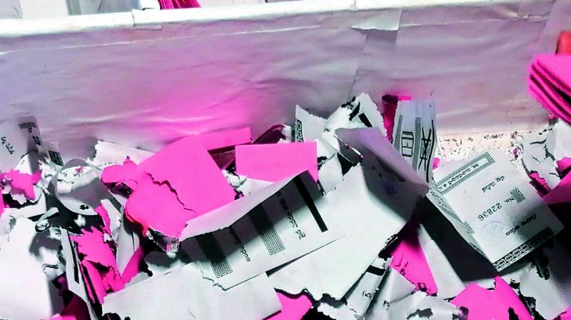 ZPTC MPTC elections: Termites eat ballot papers