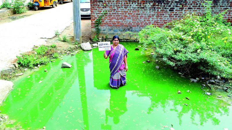 An activist standing in a pool of dirty water asking municipal chairperson to do their duty.