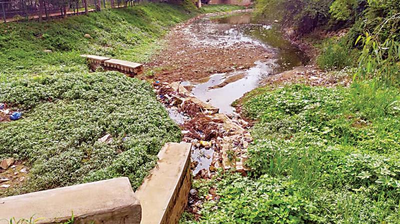 Bengaluru: After spending Rs 5 crore, lake gets overrun by plastic