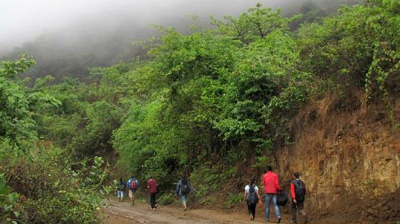 Eco-tourism is a natural means to conserve and travel, observing the beauty of nature, the various flora and fauna, and being with the locals of that area.